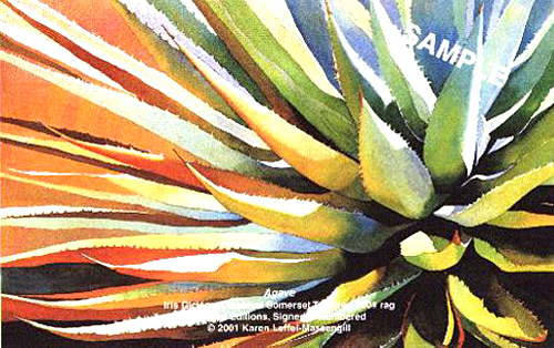 Agave